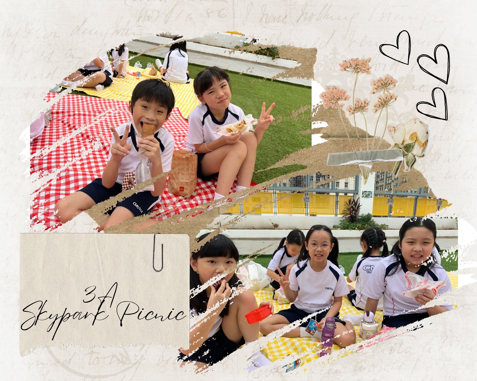 3A  Skypark Picnic